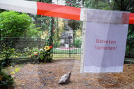 PEOPLE - Betreten verboten: Der Zaun um das Grab von Jan Fedder auf dem Friedhof Hamburg-Ohlsdorf ist beschädigt worden
