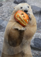 FEATURE - Halloween im Zoo von Hannover