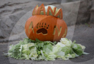 FEATURE - Halloween im Zoo von Hannover