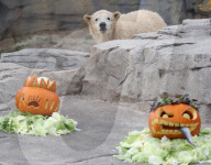FEATURE - Halloween im Zoo von Hannover