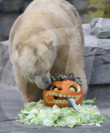 FEATURE - Halloween im Zoo von Hannover