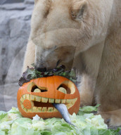 FEATURE - Halloween im Zoo von Hannover