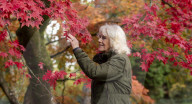 ROYALS - Camilla besucht das Arboretum Westonbirt