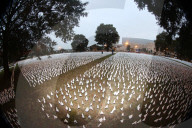 NEWS - Coronavirus: Über 250.000 Covid-Tote - Das Kunstprojekt In America, How Could This Happen? in Washington