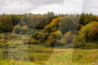The route of a controversial bypass in West Sussex has been announced by Highways England. and the locals are not all happy.