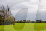 The route of a controversial bypass in West Sussex has been announced by Highways England. and the locals are not all happy.