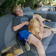 SCHICKSALE - Er liebt ihn wie einen Bruder: Labrador Olli und der autistische George geniessen eine besondere Verbindung