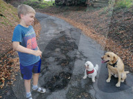 SCHICKSALE - Er liebt ihn wie einen Bruder: Labrador Olli und der autistische George geniessen eine besondere Verbindung