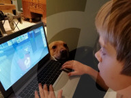SCHICKSALE - Er liebt ihn wie einen Bruder: Labrador Olli und der autistische George geniessen eine besondere Verbindung