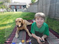 SCHICKSALE - Er liebt ihn wie einen Bruder: Labrador Olli und der autistische George geniessen eine besondere Verbindung