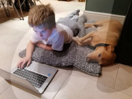 SCHICKSALE - Er liebt ihn wie einen Bruder: Labrador Olli und der autistische George geniessen eine besondere Verbindung