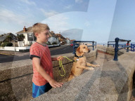 SCHICKSALE - Er liebt ihn wie einen Bruder: Labrador Olli und der autistische George geniessen eine besondere Verbindung