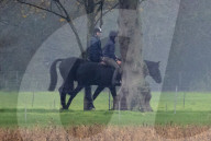 ROYALS -  Prinz Andreas reitet auf Schloss Windsor