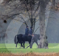 ROYALS -  Prinz Andreas reitet auf Schloss Windsor