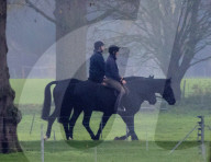 ROYALS -  Prinz Andreas reitet auf Schloss Windsor