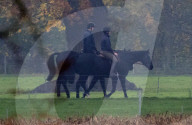 ROYALS -  Prinz Andreas reitet auf Schloss Windsor