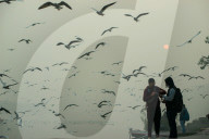FEATURE - Möwen am Jamuna in Indien