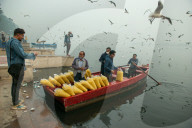 FEATURE - Möwen am Jamuna in Indien