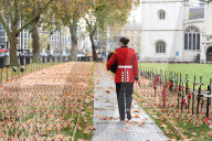 Sasha Brunyee, musician, Grenadier Guards Band.