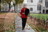 Sasha Brunyee, musician, Grenadier Guards Band.