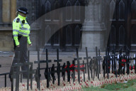 Armistice Day
