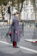 Service held at the Cenotaph to mark Armistice Day