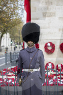 The Army marks Cenotaph Centenary with a sound from the trenches