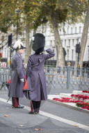 Service held at the Cenotaph to mark Armistice Day