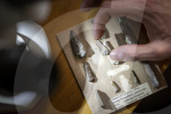 Remains of new flying reptile species spotted in UK museum drawer. Student finds mislabelled fragment of pterosaur, which flew over eastern England up to 66m years ago.