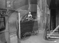 Glass plate mono negative