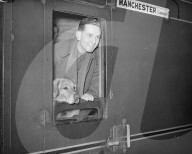Glass plate mono negative