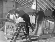 Glass plate mono negative