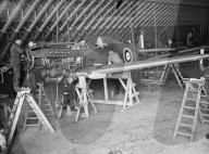 Glass plate mono negative