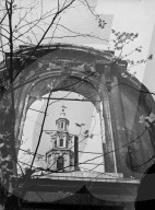 Glass plate mono negative