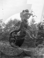 Glass plate mono negative