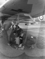 Glass plate mono negative