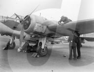 Glass plate mono negative