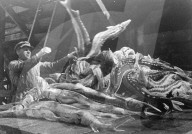 Glass plate mono negative