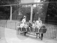 Glass plate mono negative