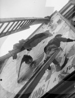 Glass plate mono negative