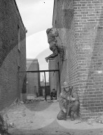 Glass plate mono negative