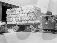 Glass plate mono negative