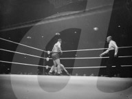 Mono Negative