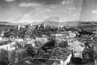 Glass plate mono negative
