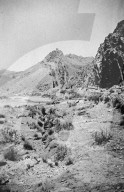 Glass plate mono negative