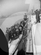 Mono Negative