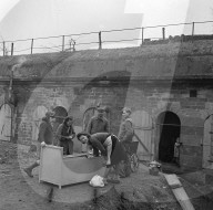 Mono Negative