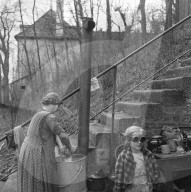 Mono Negative