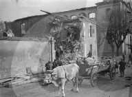 Mono Negative