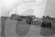 Mono Negative